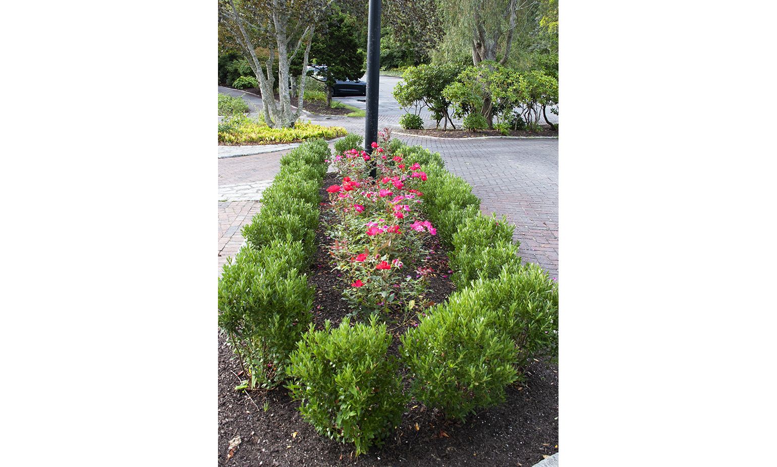 9 Willow Island Planter