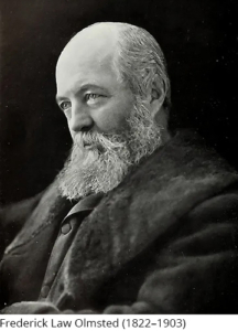 Frederick-Law-Olmsted